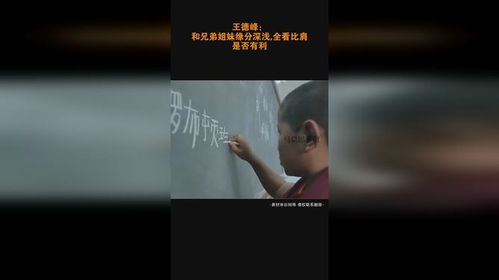 ：兄弟宫在紫微斗数命盘中的理论定位