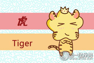 喜欢野外是哪个生肖年？野外小玩指的是哪个生肖？