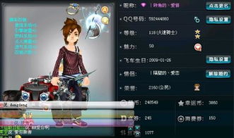 5. 土属性：稳重与踏实的基石