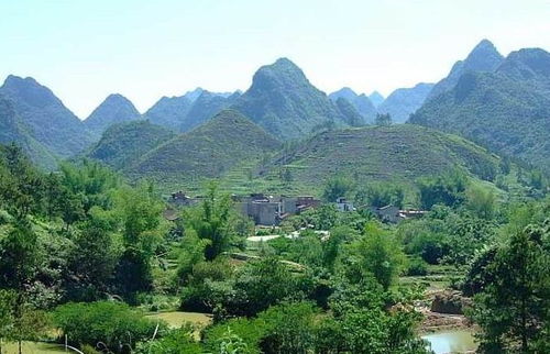 四、 信阳主要风水名师及其学术贡献