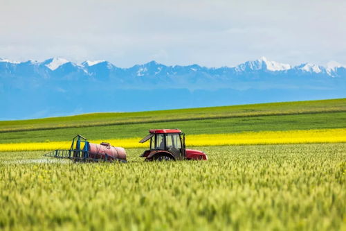 风水学视角下的不利因素分析