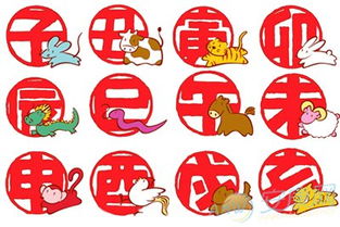 八字婚姻配对，如何根据八字找到最佳配偶属相？