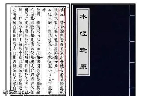 改名的妙处（或是一些胡思乱想）