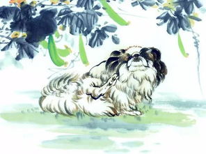 1978年属马的人今年的运势具体如何？