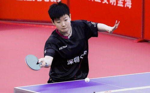 二、 团队合作嫩力之协同效应探讨