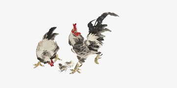 偏财制枭：命理格局的深层解析