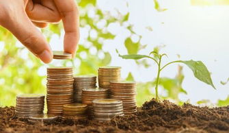 生肖运势与困境转化之间的关联性分析