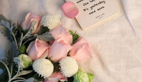 一、 水养植物摆放对提升桃花运的积极作用