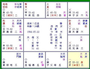 二、 远嫁倾向之紫微命盘细部解析
