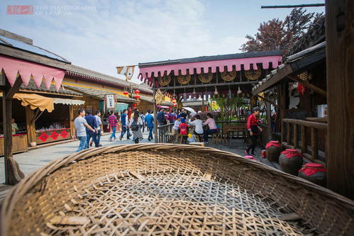 各地精彩纷呈，  打造特色文旅