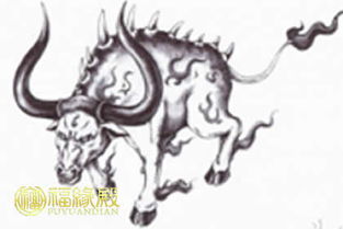 属鸡女性格优点缺点和属牛女性格优缺点分别是什么？