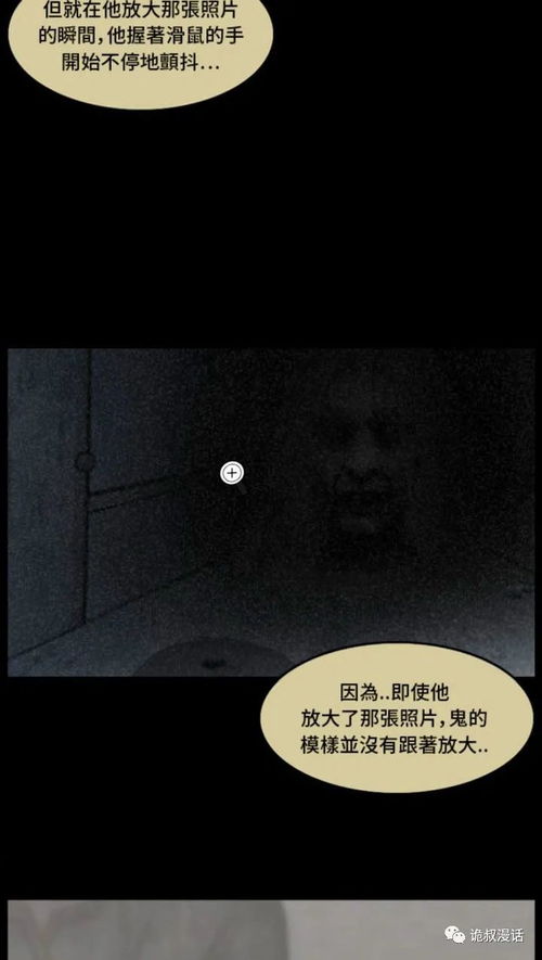 序言：一本装帧简陋的书籍及其潜在的文化隐喻
