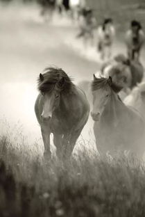 3.1 相生和谐型——以兔（木）配合羊（土）为例