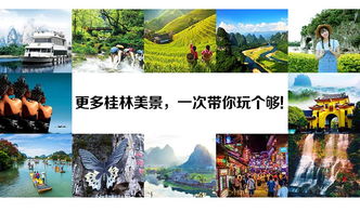 定制游背后的那些猫腻与真心