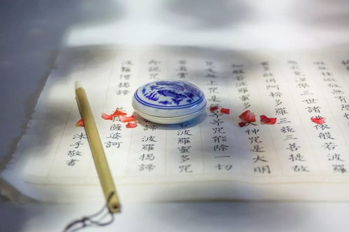 教育领域工作岗位者和心理状态诊疗师的观点