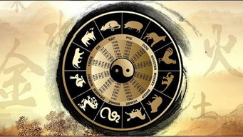 八字中只有一个财星或无财星，这种情况该如何解读？