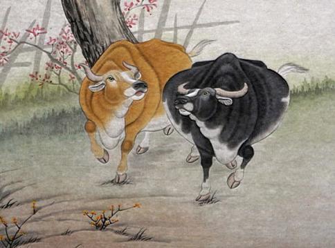 不解风情对应什么生肖？人畜不分又是哪个生肖的象征？