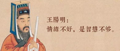 深厚的智慧与学识：求知若渴的内在驱动力