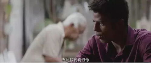 二、  环境场域与风水布局的调节作用