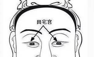 五、 印堂宽阔——气度胸襟之尺度