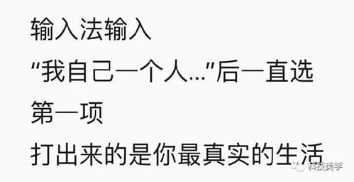 一、 乱七八糟的起名思路（先说不管对不对）