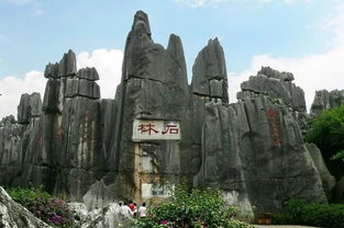 啊啊啊！2026年老年人必须知道的石林惊天大秘密！错过哭晕在厕所！