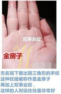 手相学的学理依据及其在命运预测中的局限性