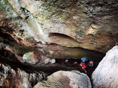 2. 大峡谷探险：腿以废