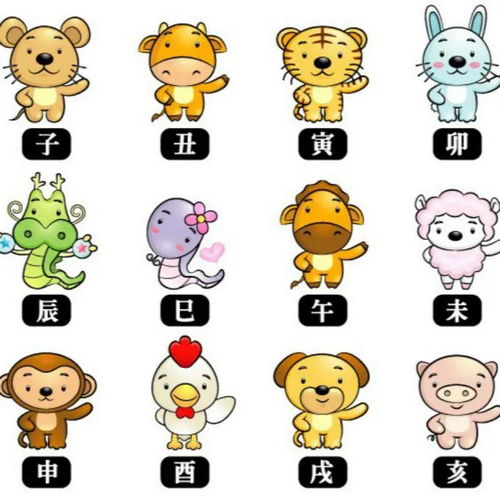 十二生肖中哪个动物身高最为出众？