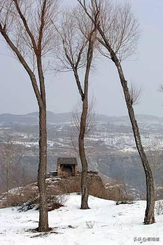 2.1 山石旁不得栽开花树