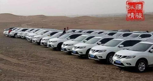 我对陆良这个地方充满了幻想又有点害怕