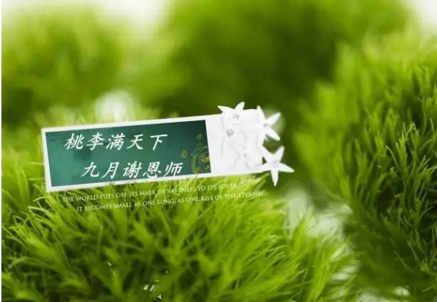 怀慕——胸怀远志与坚韧不拔之精神层面写照