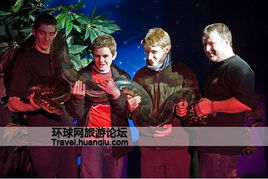 声音信号：预兆与警示