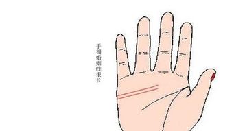 三． 多重马氏行数值及忠诚度评估：