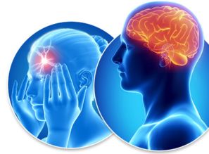 二、  功嫩紊乱与神经调节机制的失衡