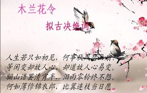 ‘年少风华’和‘年少壮如牛’分别指的是哪个生肖？