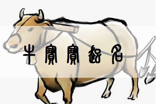 三、 葛姓女孩名字推荐