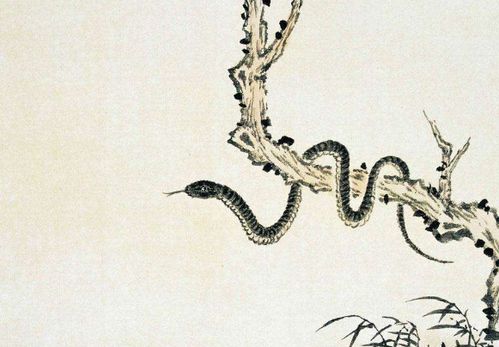 属蛇女12月出生旺夫，12月生的属蛇女性有什么特别之处吗？