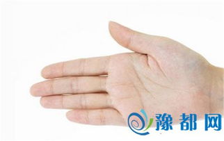 手相视角下的个性倾向及其潜在危害