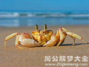 Zuo梦梦见吃螃蟹肉是什么预兆或有什么特殊含义？