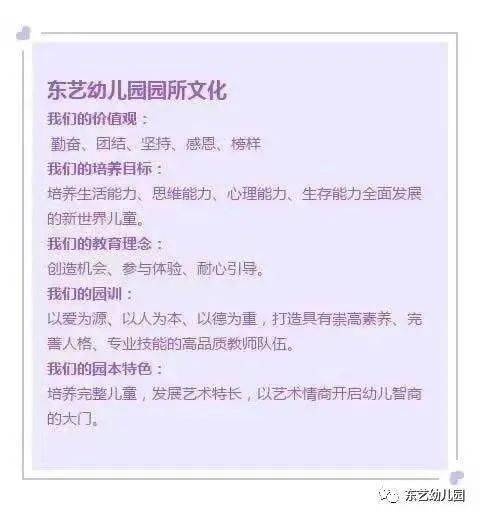 一、 探究背景与对象概述