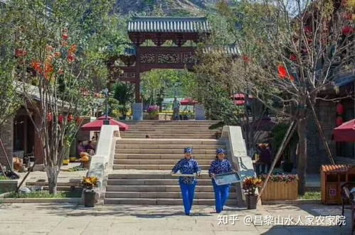 昌黎葡萄沟·山水人家农...（继续阅读请往下滚）
