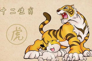 2026年属虎摩羯运势和2025年属虎运程具体内容是什么？