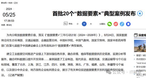 典型案例解析：具体数字背后的时代脉络洞察（包含官方公布的数据引用）