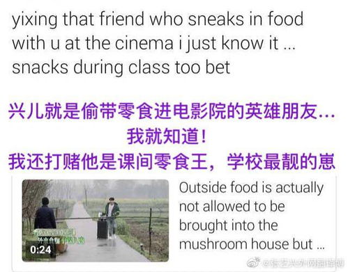 三﹑〝绿灯突灭‖现象解读∶潜愈识风险预警机制と应对策略