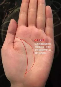 提升元宝纹的运势