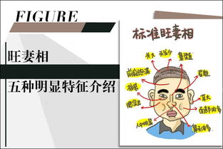 二、 声韵特质：如琴般的清晰甜美