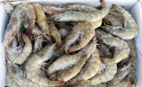 一、  传统经验与“相克”之辨