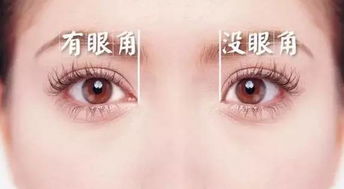 男性大眼睛双眼皮的人命运究竟如何，是否真的好运连连？