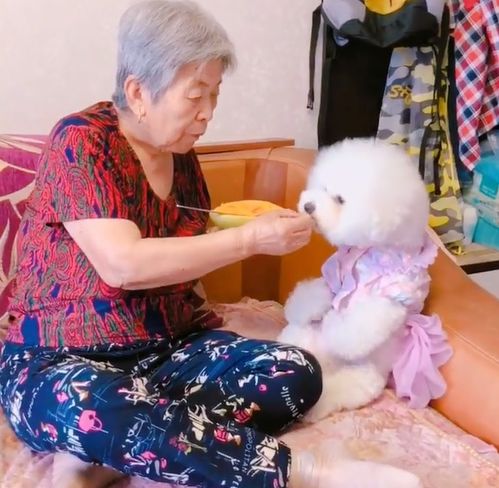 目标顾客群体解析